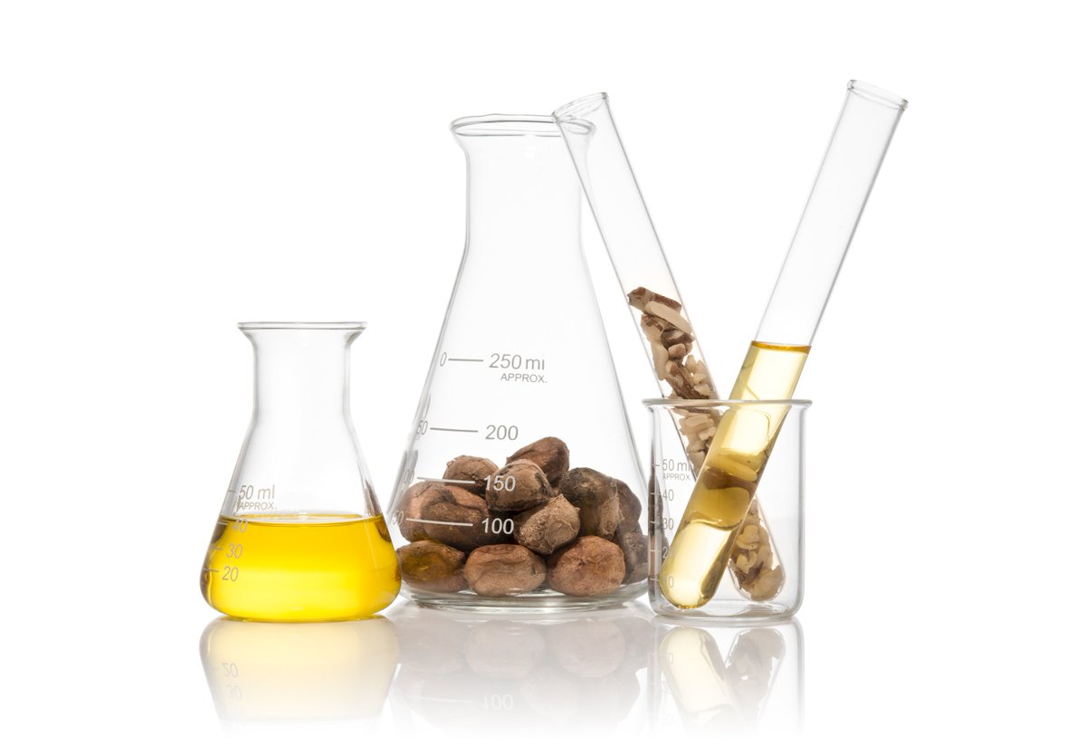 OrganiBox's tweet photo. Discover the benefits of marula oil: it's #vegan, it's #organic, and great for your skin! --> https://t.co/hWo8wRAWNb #IESEGsmm https://t.co/LCyqbAzKP6