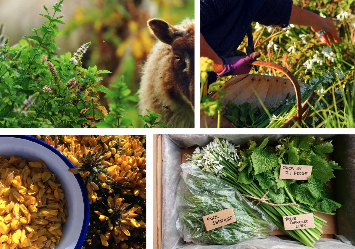 We're a bit chuffed.
@TomsFeast is showcasing our wares in Mayfair tomorrow night. 
Using our maritime hogget &amp; wild herbs as the main.