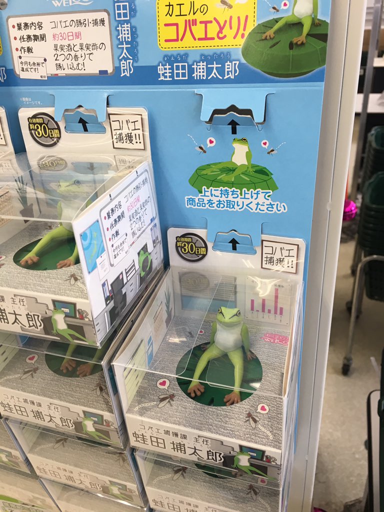 見る者を衝動買いさせるコバエ捕獲器の蛙田捕太郎が可愛過ぎる 見る者を衝動買いさせるコバエ捕獲器の蛙田捕太郎が可愛過ぎる