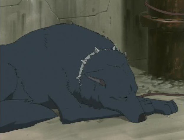 » when she had the energy.