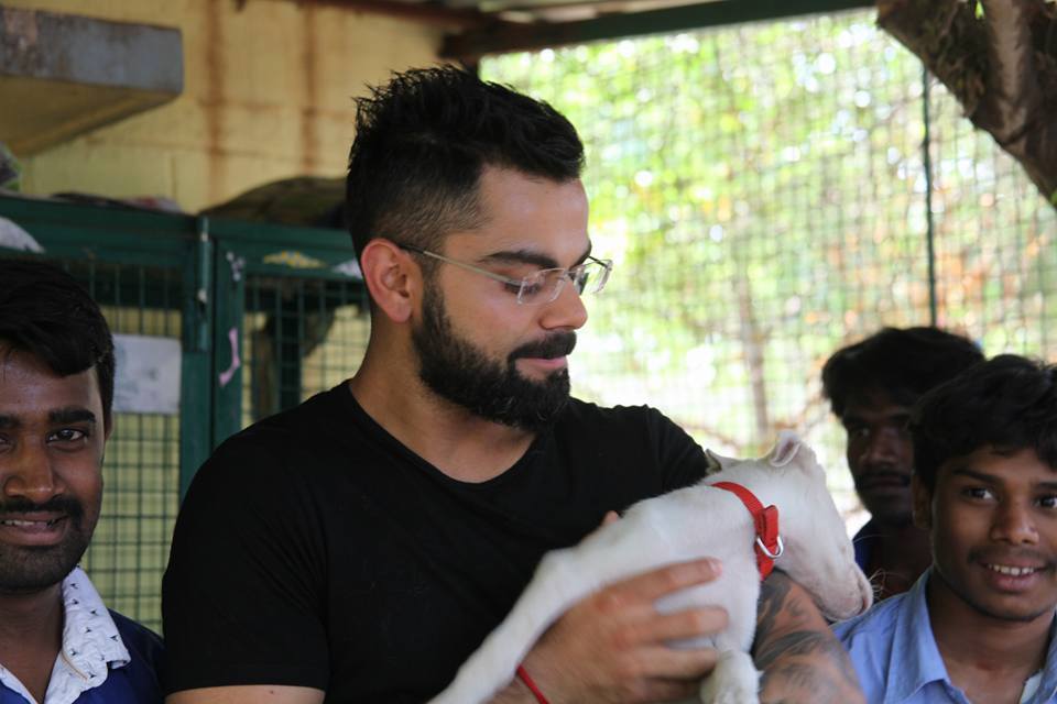 ViratGang on Twitter: ViratGang on Twitter: