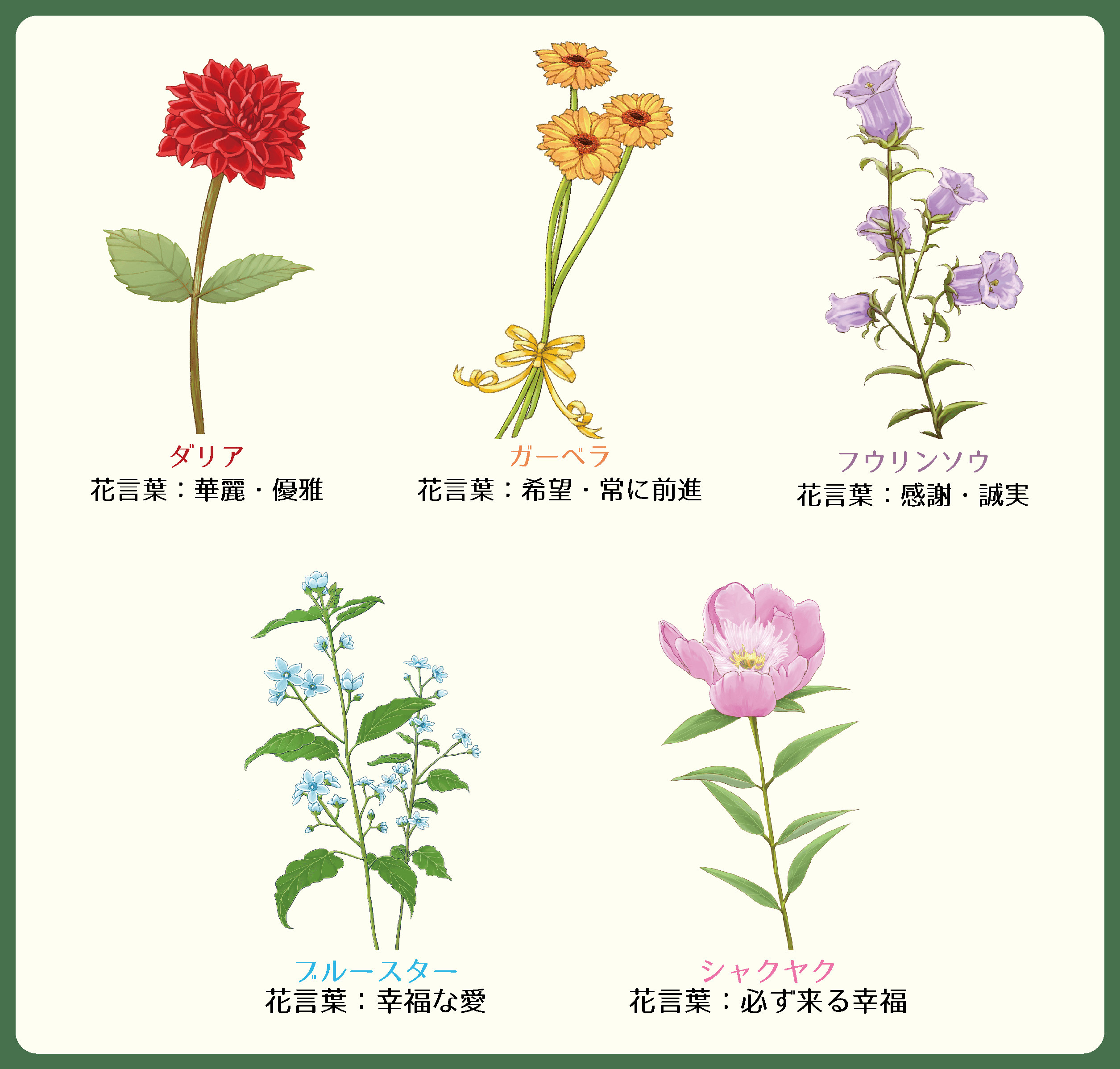もろみ美人 スパークリングどぶろくかやま 花ラベルのご紹介 花の挿絵を添えた 従来のどぶろくのイメージを一新したラベルです お好き花で選ぶのはもちろん シーンに合った花言葉を贈るのもおすすめ ラベルには花言葉も載っているので 普段は
