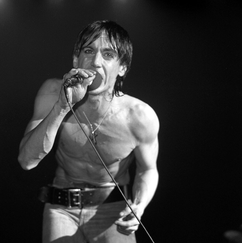 Happy birthday Iggy Pop 