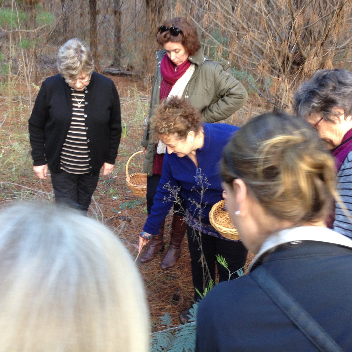 Patrizia Simone tweet media