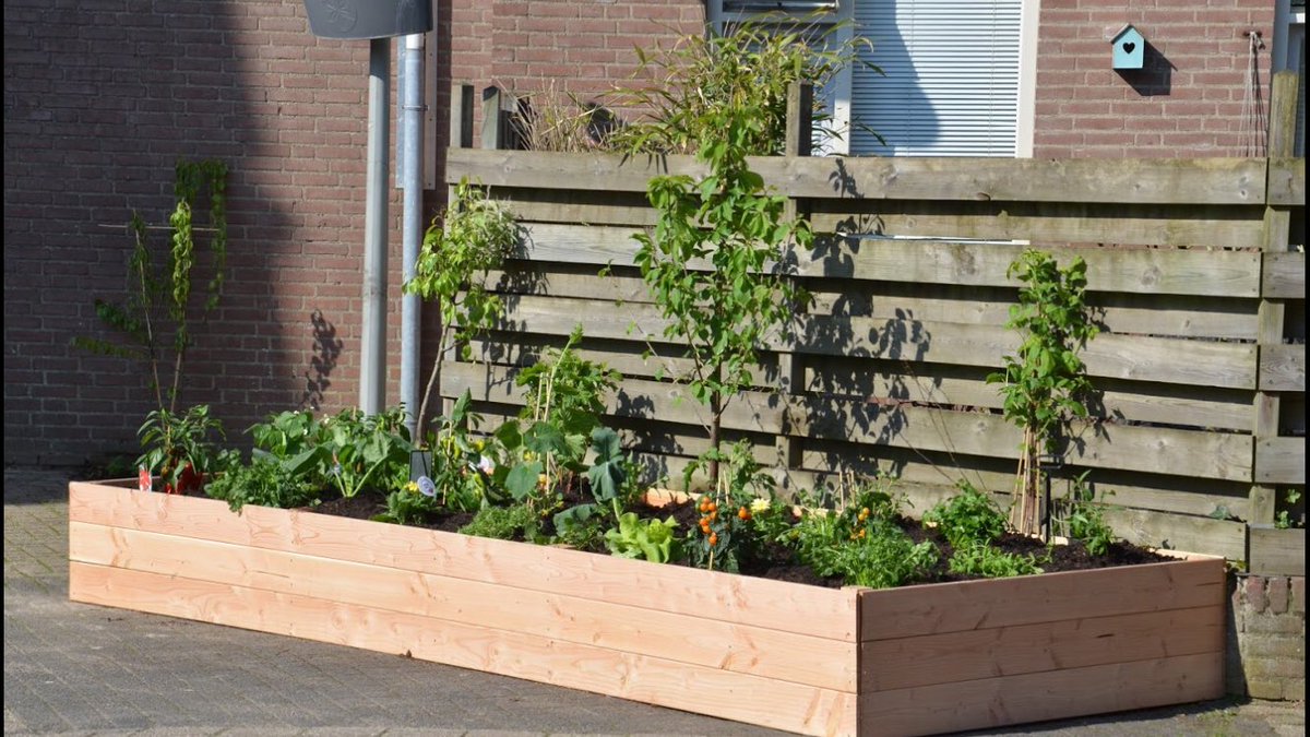 Prachtig resultaat van onze najaarscampagne #datkangroener dankzij de toppers van @NLgreenlabel <a href="/Greenhovenier/">Greenm2</a> <a href="/GroeneHandentv/">Groene Handen</a> #dankbaar