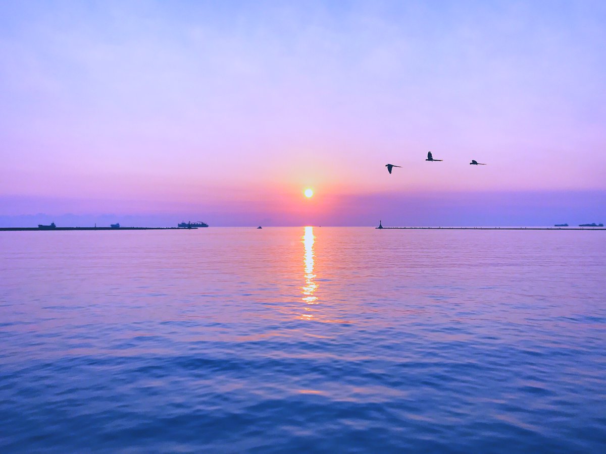 PerfectBookApp's tweet photo. Have you miss the #Sunset of today?? 🌈🌈🇹🇼 #iPhonePhotography #Kaohsiung 
✨The Best Camera on iPhone ! 😘😘  https://t.co/B6G1pniDxU https://t.co/1v1NHJrbhc