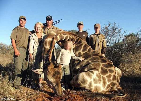 CBTHunting's tweet image. Trophy hunting driving giraffes to 'silent extinction'. RT if you agree it should be banned globalanimal.org/2017/04/20/gir…