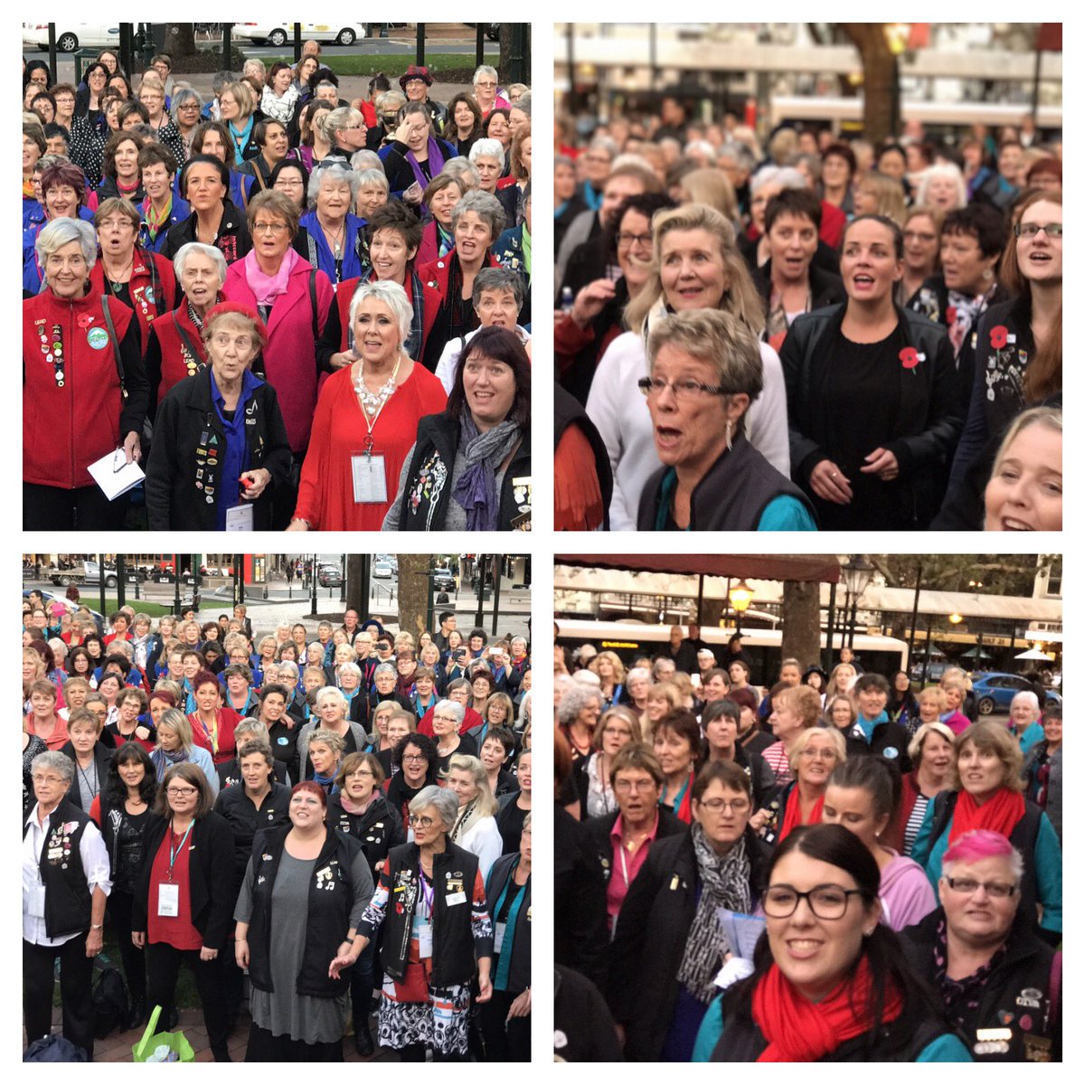 sweetadsnz's tweet image. The Octagon filled with harmony as hundreds of Sweet Adelines joined together in song this evening 🎶#sweetadelinesnz #iamsweetadelines