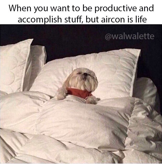 micaromulo's tweet photo. Like all I can manage to do today is troll the internet and make memes (in aircon). See you guys never ✌🏽#meralcotakeallmymoney #walwalette https://t.co/zVs5BpN3l4
