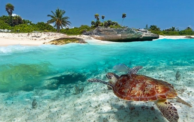 1234shadows's tweet photo. Gremo za vikend na morje ?!!!
Ja, če živite v #Tanzaniji to pomeni, Kam na #Zanzibar-https://t.co/MM0AiWN9UE? https://t.co/t1DUnxb8JD