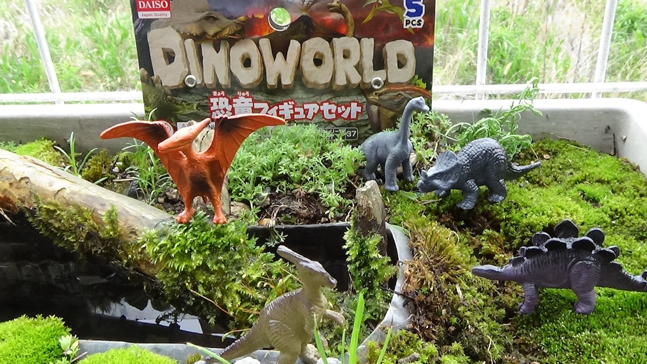 ドリーム Rr コケリウム 100円ショップ ダイソー 恐竜フィギュア セット T Co Dg6vvvmvkx Twitter