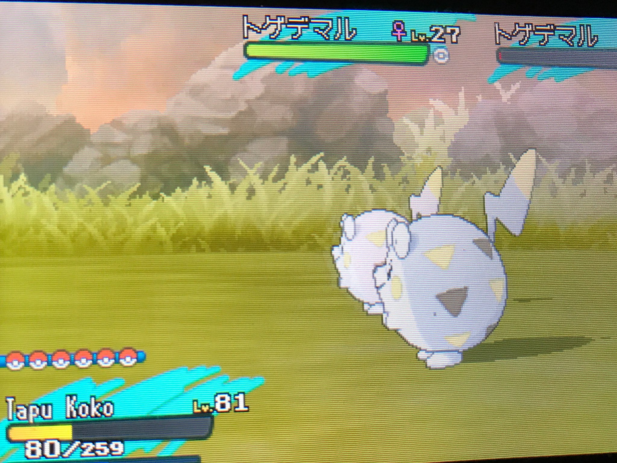 みー ポケモン色違い収集 Mi Poke Twitter