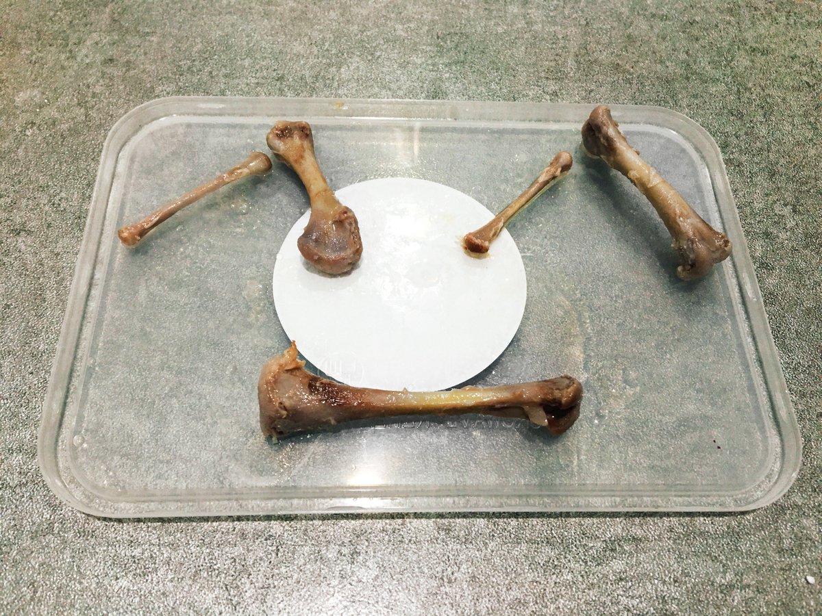 Apink_2011's tweet photo. [#정은지공간일기] 0421 날씨 맑음 

오늘 은지는 닭뼈를 발골했다! 맛있는 삼계탕을 먹었는데 아주 깔끔하게 냠냠한 것이다! 닭은 백숙을 먹었는지,후라이드를 먹었는지,양념을 먹었는지 모르게 하라는 믕의 말에 다들 박수를 보냈다.

#너란봄 #정은지 https://t.co/9w8orNRiMp
