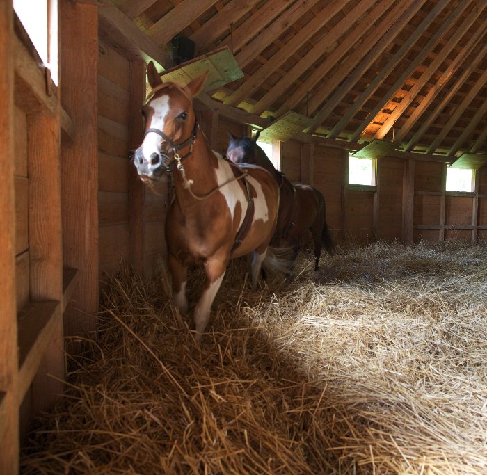 Mount Vernon On Twitter Washington Invented A 16 Sided Barn