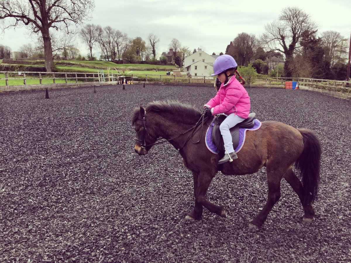 Just an average lunch time at @Sedbergh_Prep for two of our pre-prep pupils #ridinglesson #opportunities