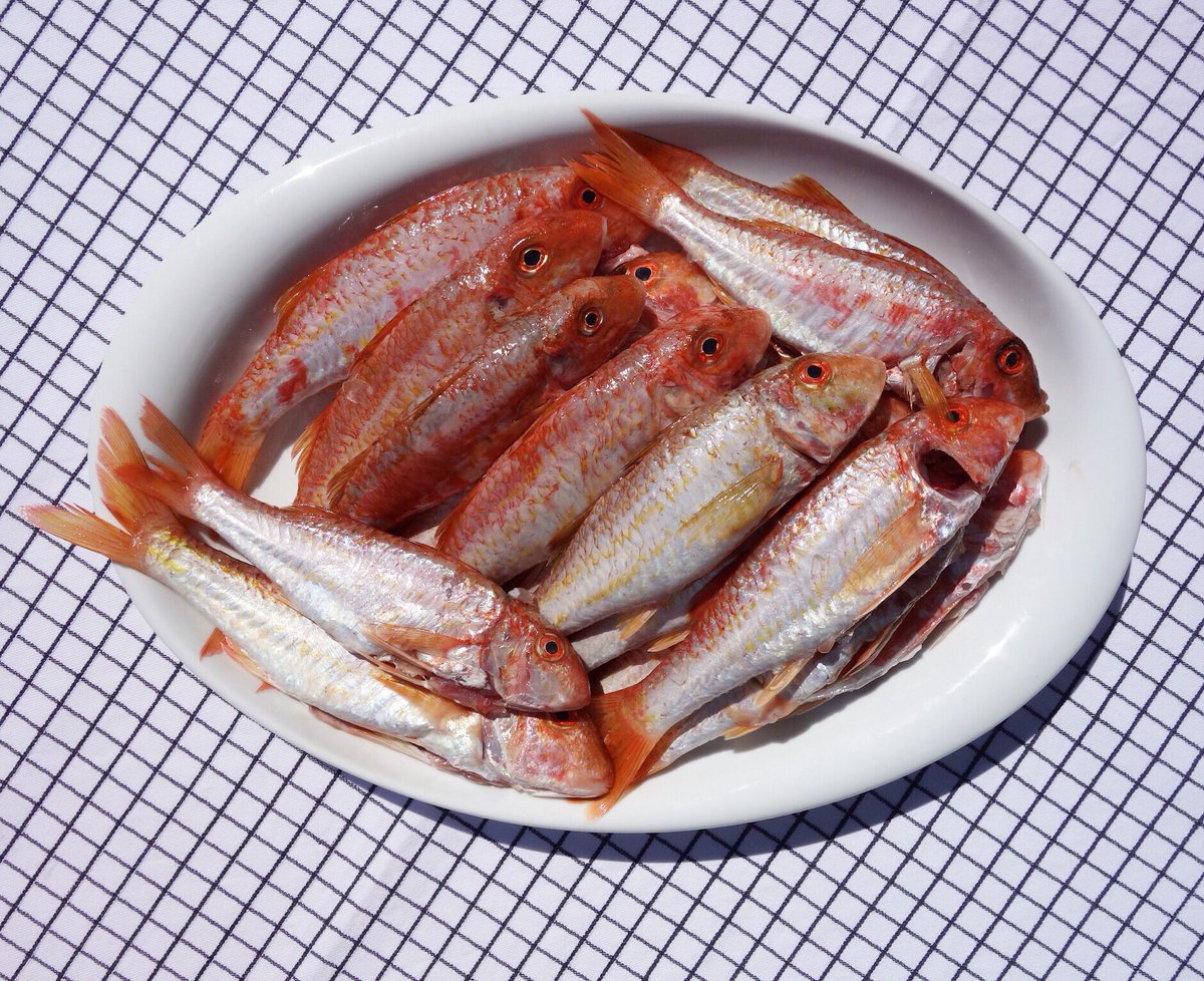 Nespolo_seb's tweet photo. Les #rougets #pêchés ce #matin par notre #pêcheur
#restaurant #loupantail #nice #pizzeria #Poisson #frais #sauvage https://t.co/hUBM3ZNYyC