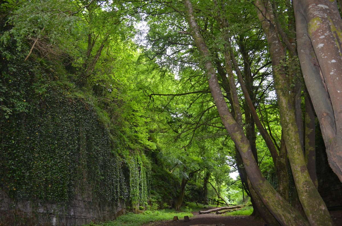 outdoorsligo's tweet photo. Discover Sligo - Taste Sligo - Sleep Sligo https://t.co/038SUziG32  #wildsligo #lpinireland #shoreshots17 @Marie_Casserly @ShoreShotsSurf https://t.co/1Tdo6VOnAP