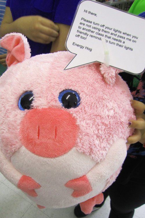 EcoSchoolsCAN's tweet photo. Did you have an Energy Hog roaming around your school this year? Energy campaigns can be claimed in Q.211 https://t.co/n0b15WLXBE #CertTIPS https://t.co/v9LkAt151P