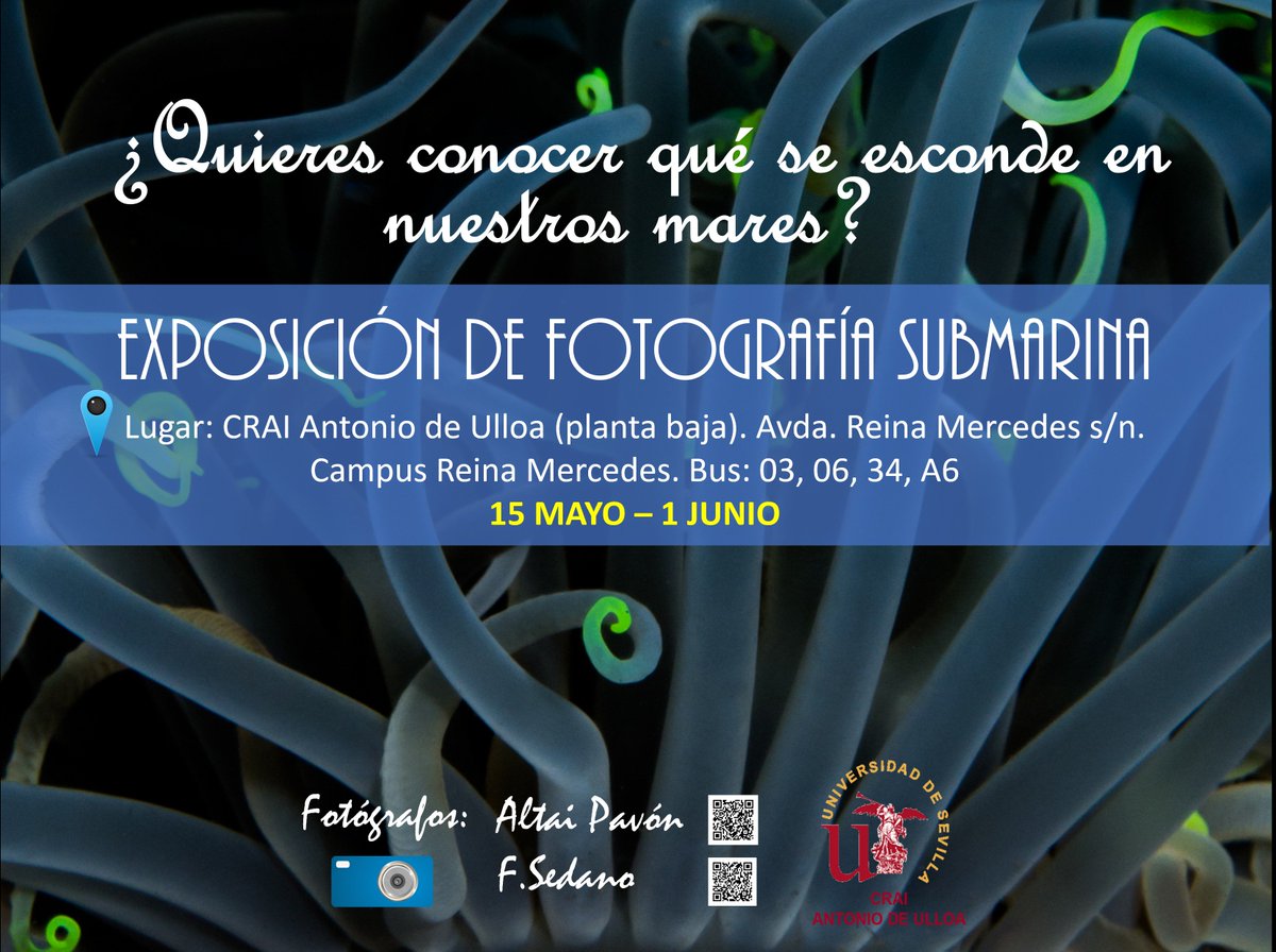 Difusión pls

Exposición de fotografía submarina en el @CRAIUlloa