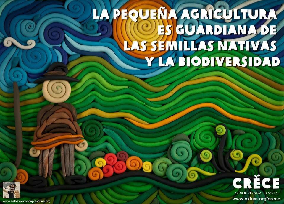 julialbaangelo's tweet photo. Por el respeto al patrimonio genetico colombiano Escuela Ciencias Agricolas Pecuarias Medioambiente de #UNAD defiende agricultura campesina https://t.co/HPc2sQfWeB