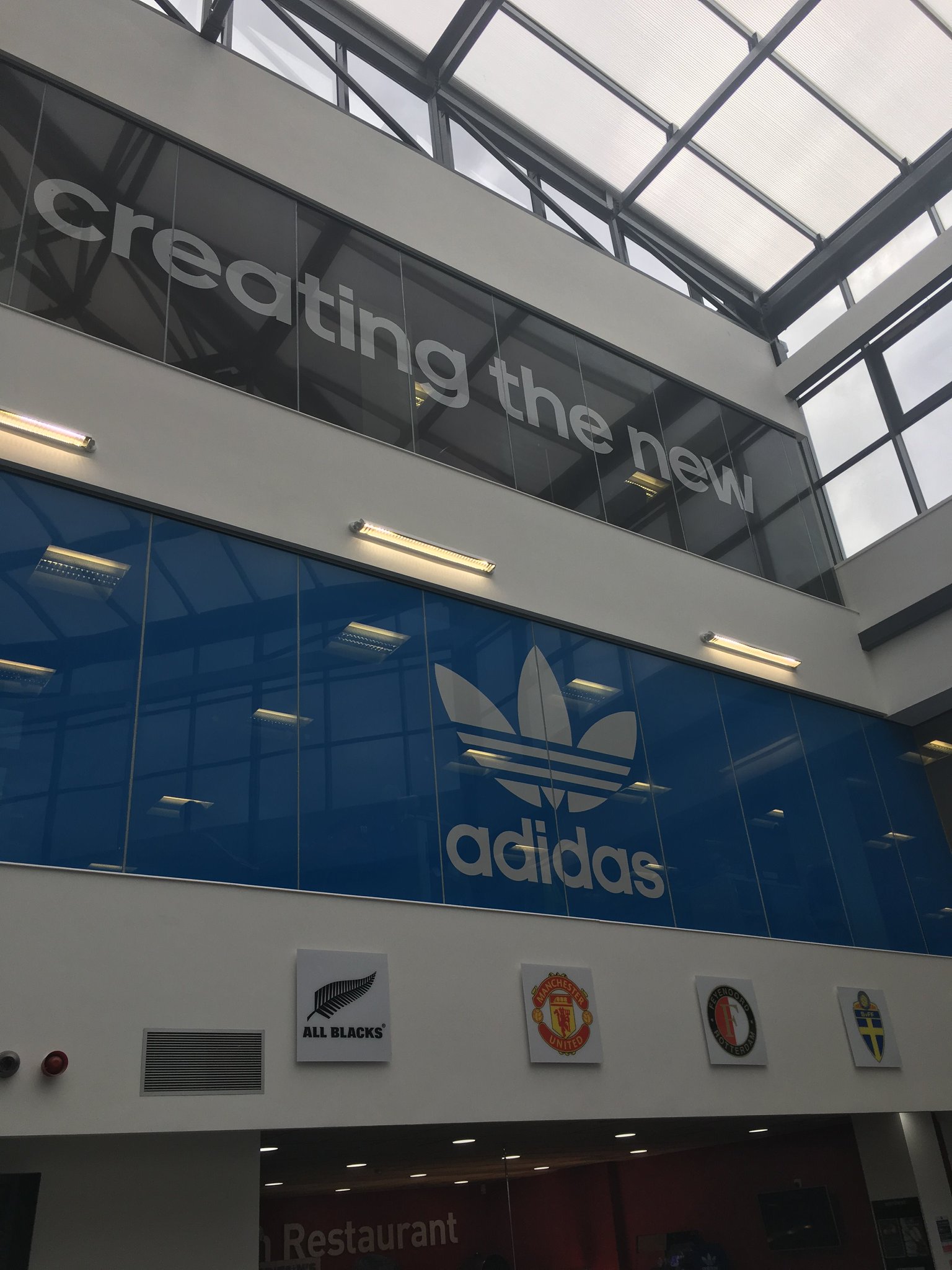 adidas hazel grove