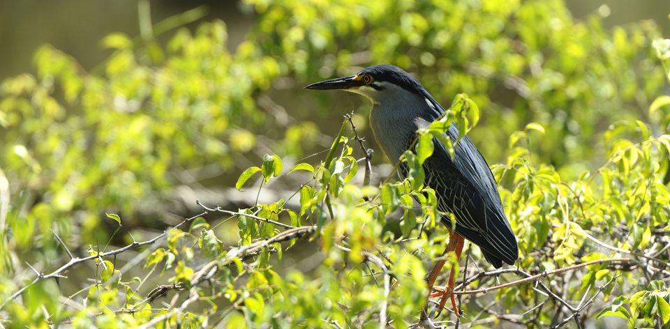 #SoetdoringDamNatureReserve offers an easy place to see game and do some excellent birding very close to #Bloemfontein