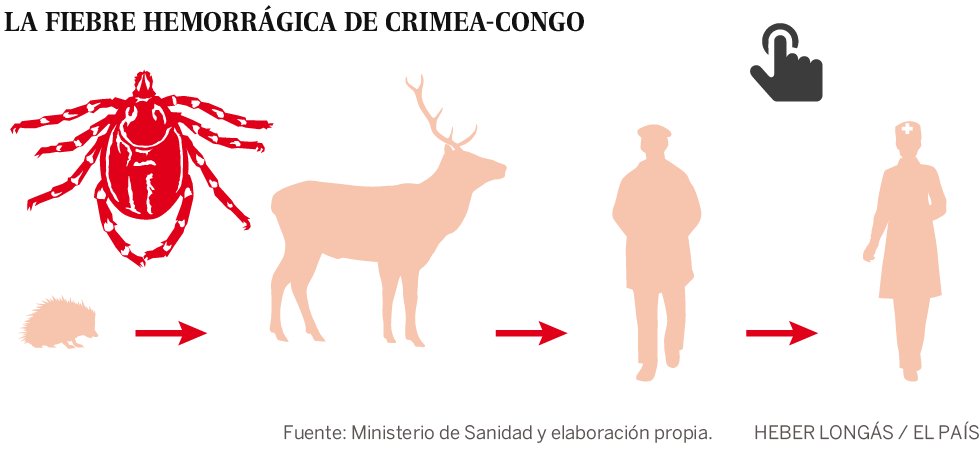 el_pais's tweet photo. El Ministerio de Sanidad detecta fiebre hemorrágica de Crimea-Congo en cuatro comunidades https://t.co/zrsn8JG4RT https://t.co/LhDxNlY6Qm