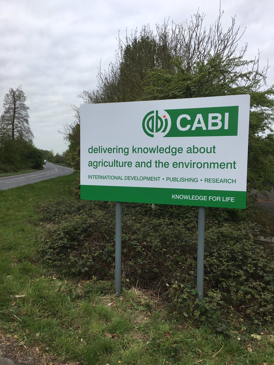 Blueprint Imaging tweet media