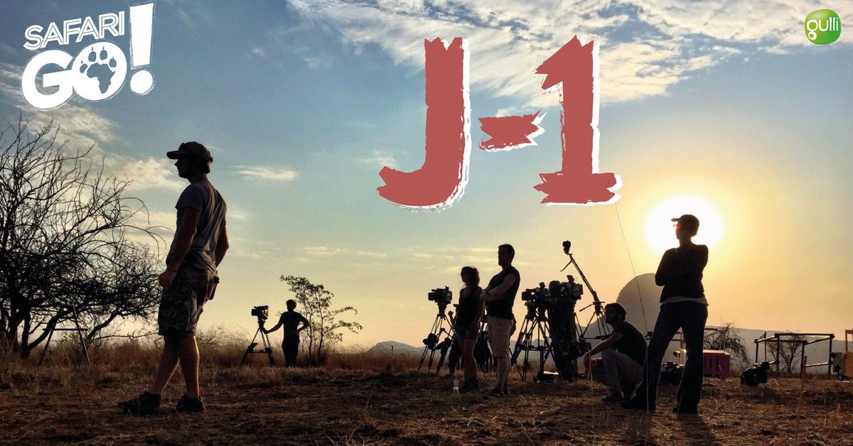 guimardo's tweet photo. J-1 avant la première de @SafariGotv avec @ceruttiofficiel !! RDV demain 20h50 s/ @gulli 👊🏽🦁 #SafariGo https://t.co/ngknE0gtGY