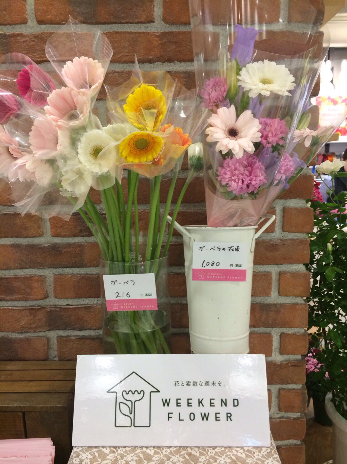 توییتر 公式 フラワーミッフィー در توییتر 今週の ウィークエンドフラワー は ガーベラ です 有名なお花ですが 買いやすい価格も魅力的です 色々な種類 カラーがあって私たちを元気にさせてくれるかわいいお花です 一輪でも その場をかわいくしてくれ