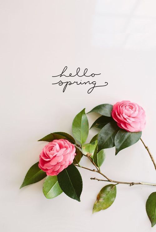 OrganiBox's tweet photo. #Spring is here! Enjoy the great #vegan and #organic products of our #springbox --> https://t.co/5lEiUtTKcD #IESEGsmm https://t.co/v1x1485EOn