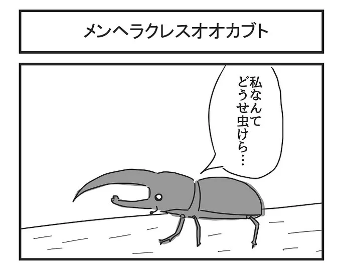 メンヘラクレスオオカブト 