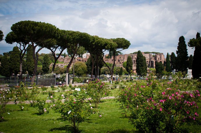BeautyfromItaly's tweet photo. The Garden of Roses in Rome via @romeing https://t.co/zVSKtS6Zfo #travel #Italy #beautyfromitaly https://t.co/7Ouumd9kZM