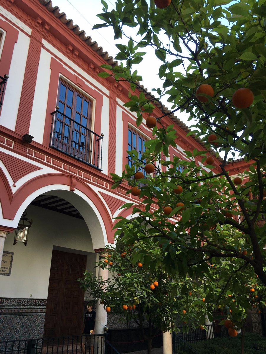 VelMurSev's tweet photo. Recuerda que los jueves, viernes y sábados ¡abrimos! Ven a visitarnos de 10:00 a 14:00 @Focus_Abengoa https://t.co/9q8nIyJaUJ