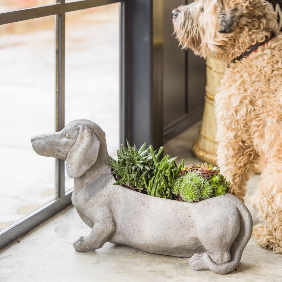 GrahamandGreen's tweet image. Meet Danny, our cool #new Dachshund Planter  🐶 &amp;gt; goo.gl/UPBoq9