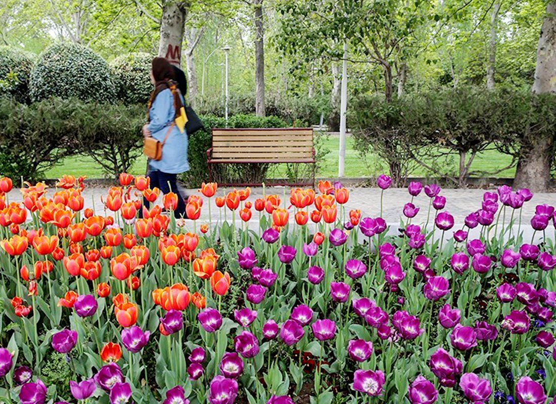 IFILMENGLISH's tweet photo. Iran’s capital of Tehran covered with tulips
https://t.co/7nm32Pynih https://t.co/jFaDD6jNuL