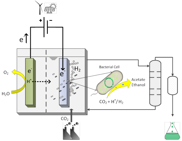 download nachhaltiges