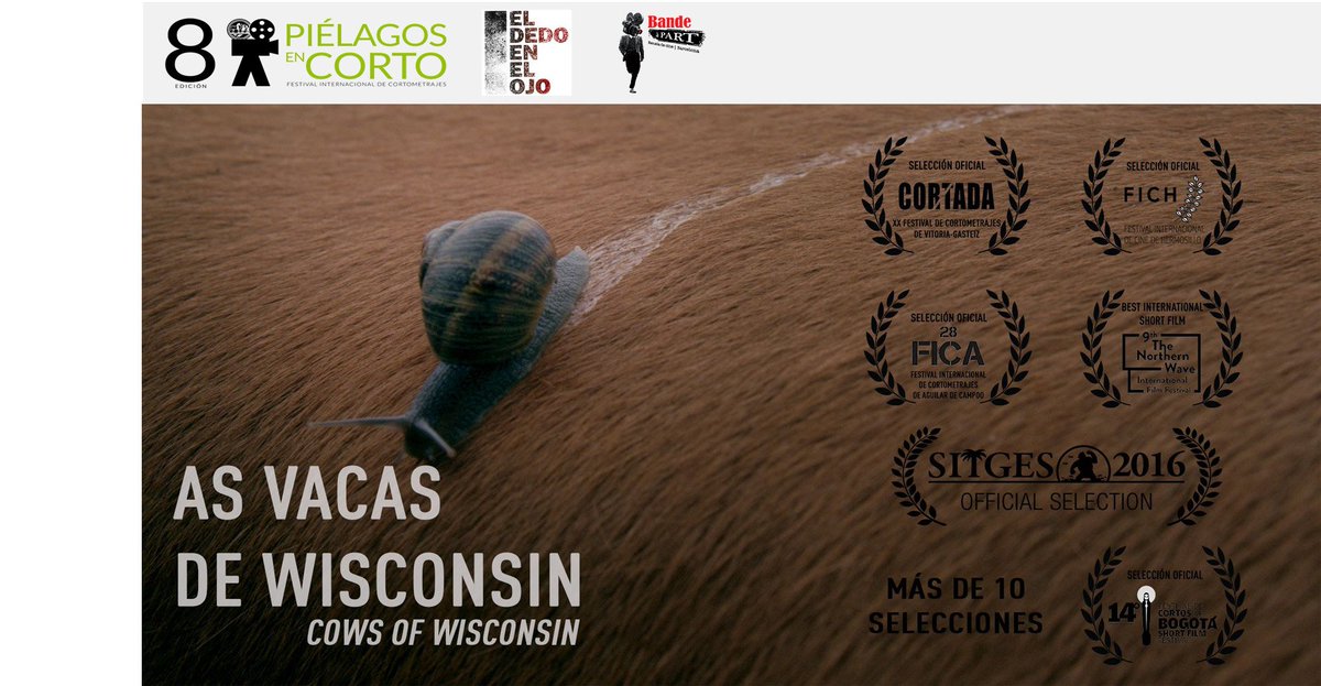 ElDedojo's tweet photo. As vacas de Wisconsin de Sara Traba ha sido seleccionado finalista de la edición XVI del @avilesaccion Film Festival https://t.co/SMviUBVLY0 https://t.co/VdjO1wvYuo