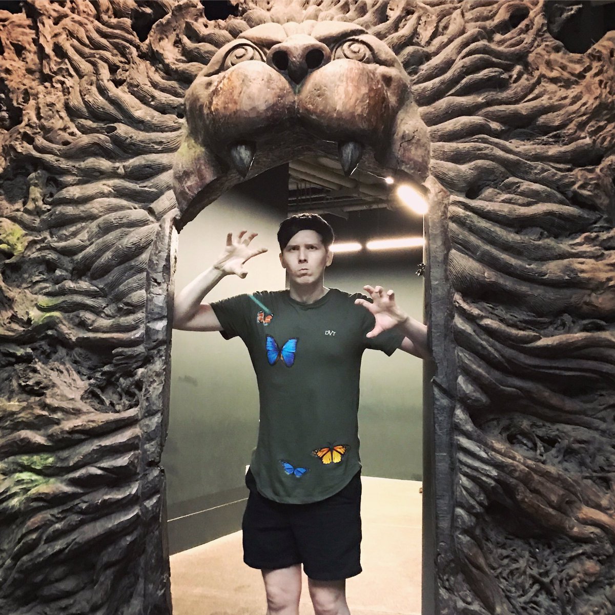 AmazingPhil's tweet photo. The roar door 🦁🚪 https://t.co/jilJBfoT6p