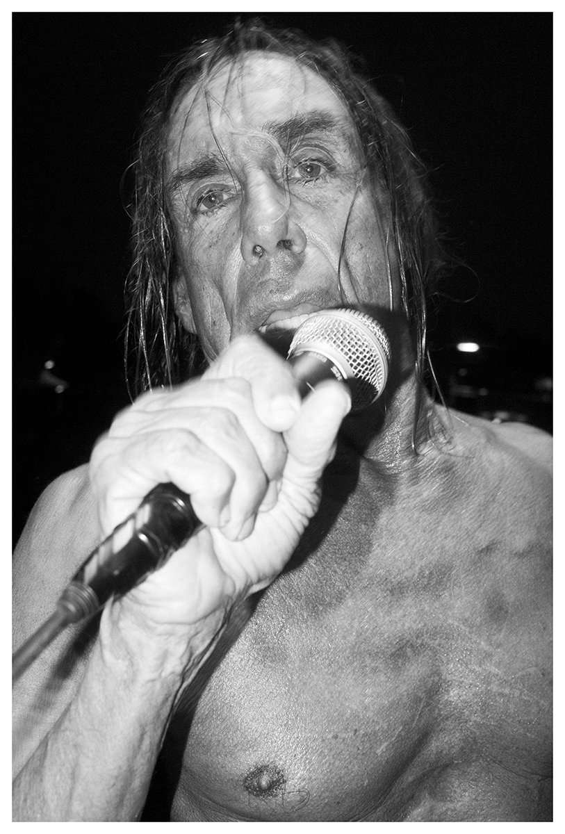 writeandroll's tweet photo. @IggyPop compie 70 anni. I suoi addominali no: hanno vita propria. Lo celebriamo con un classico #sixpack https://t.co/XY87gQd3T7 | #iggypop https://t.co/5PcPPDbkvP