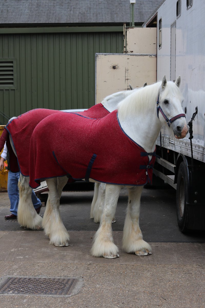 McMullens_pubs's tweet photo. The lovely lads Jack and Viscount have arrived and are very excited about taking our Dray for a walk about today! #Since1827 #WSShires https://t.co/F0GydhFeVF