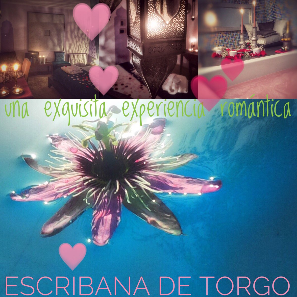 EscribanadTorgo's tweet photo. Día de la madre inolvidable https://t.co/hro8y7mtsm https://t.co/kGg3oVpmSE