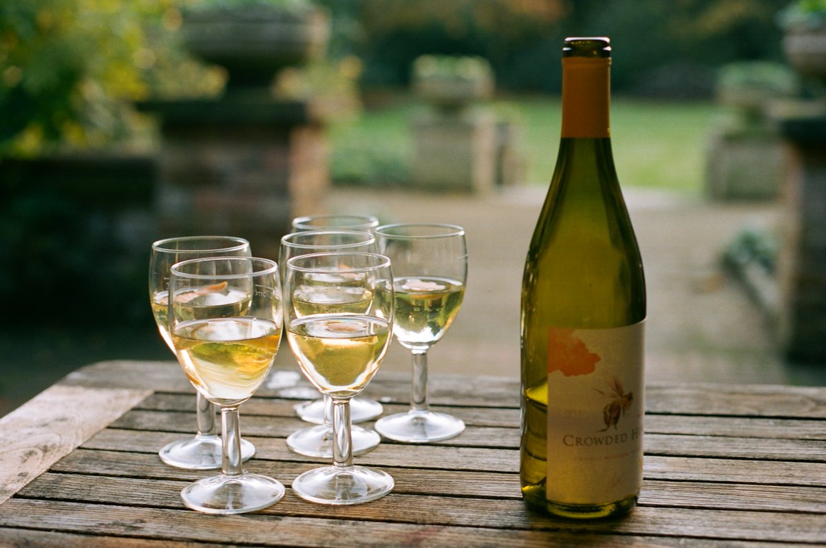 CrowdedHive's tweet photo. Looking forward to serving up our summer mead spritzers at @BalliolOxford Ball this May. Loads more to come. https://t.co/GL5OLzHWLp