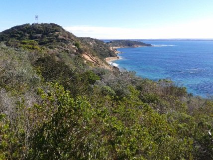 Going_Solar's tweet image. Looking for somewhere to walk? #Victorian #Walking Festival has around 80 walls. It runs until May 15.  #Walk in #Melbourne &amp;amp; #Victoria