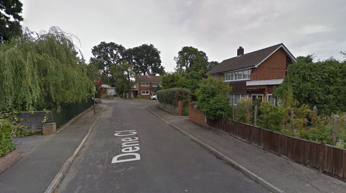Elmbridge Comet tweet media