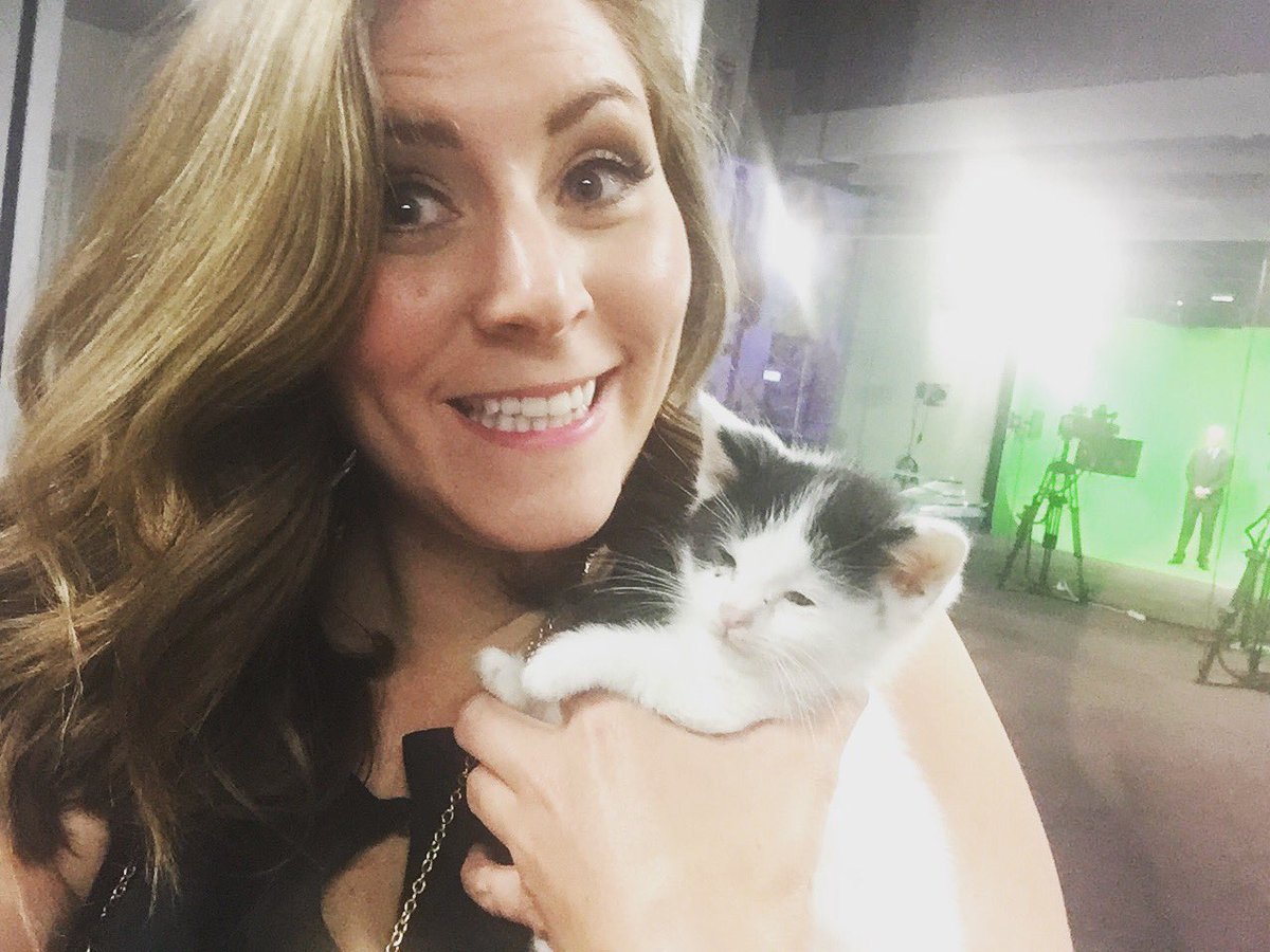 AnnaPhillipsTV's tweet photo. Brighton is not so sure about getting up this early to be on @WITN7 but he's sure looking for a furever home! #savinggraces4felines https://t.co/PGpUInndTW
