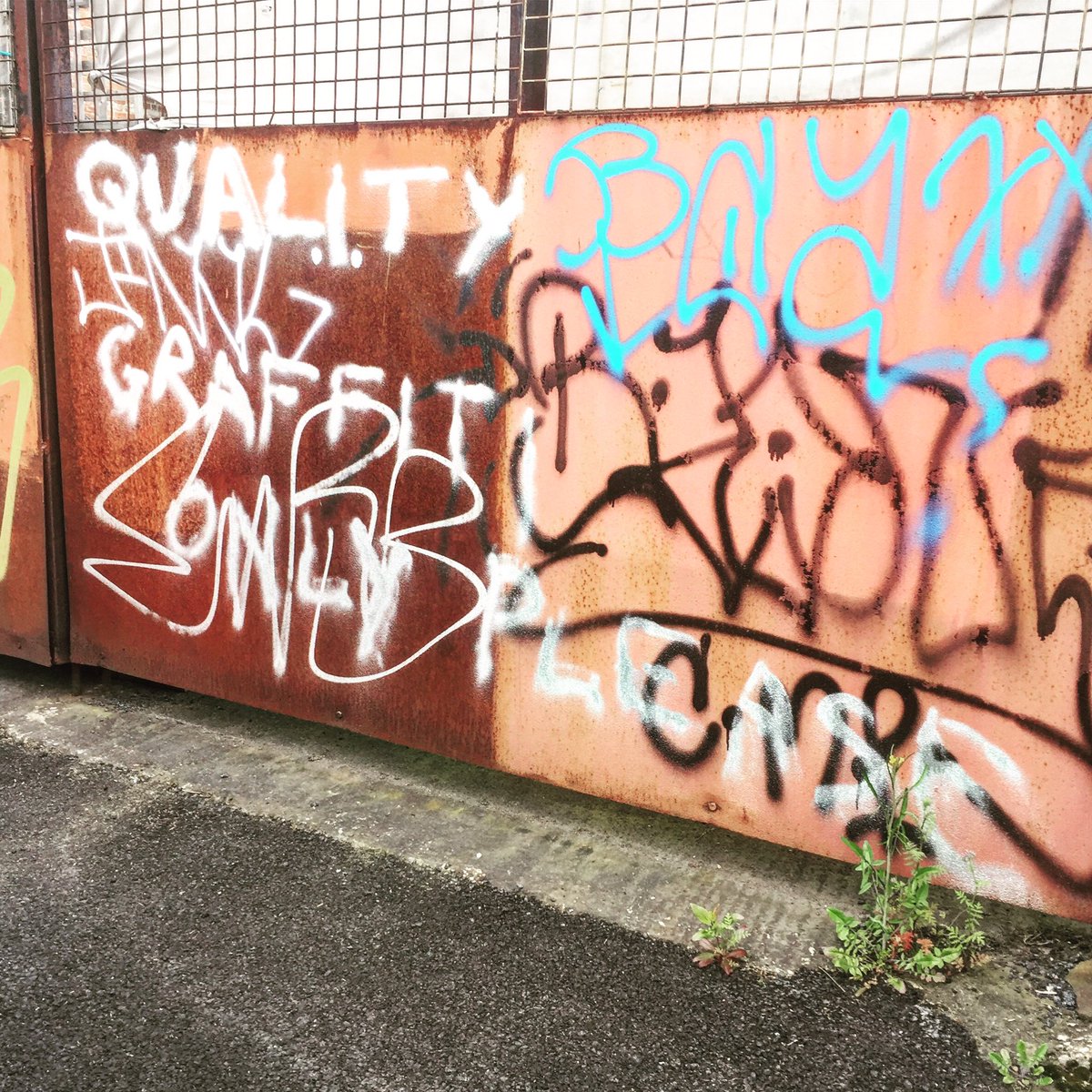 Why_U_Reading's tweet image. QUALITY GRAFFITI ONLY PLEASE, Harvest Lane S3

#Sheffield #streetart #graffiti #streetwords #typebrut