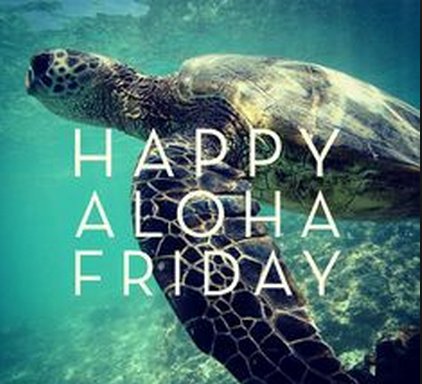 surfdudeturner's tweet photo. Happy Aloha FridAy Ya'll! #alohafriday #tybeesurflessons #promotethestoke #honu https://t.co/Cqh0wjbtXZ