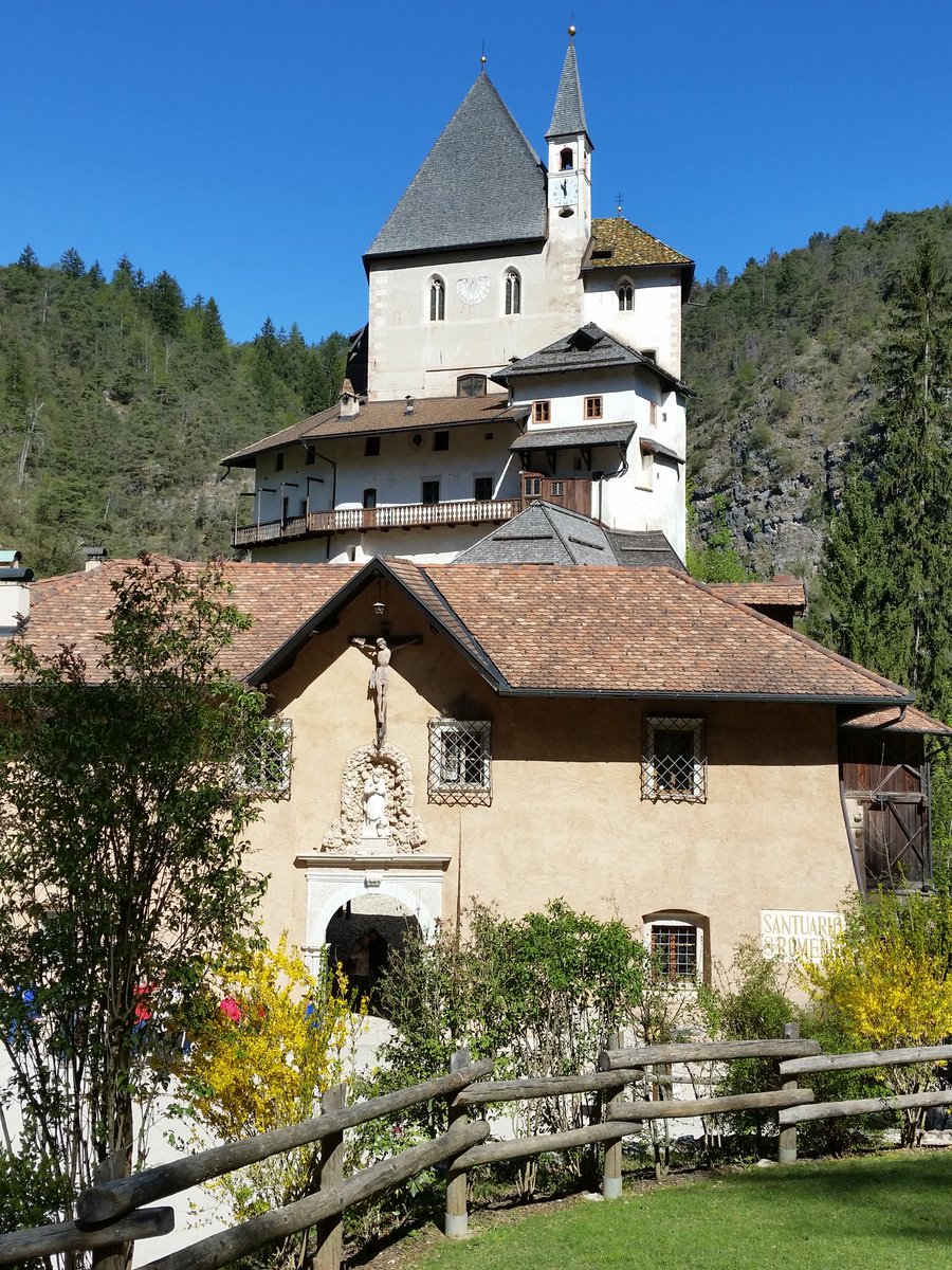 Azzurra Forti tweet media