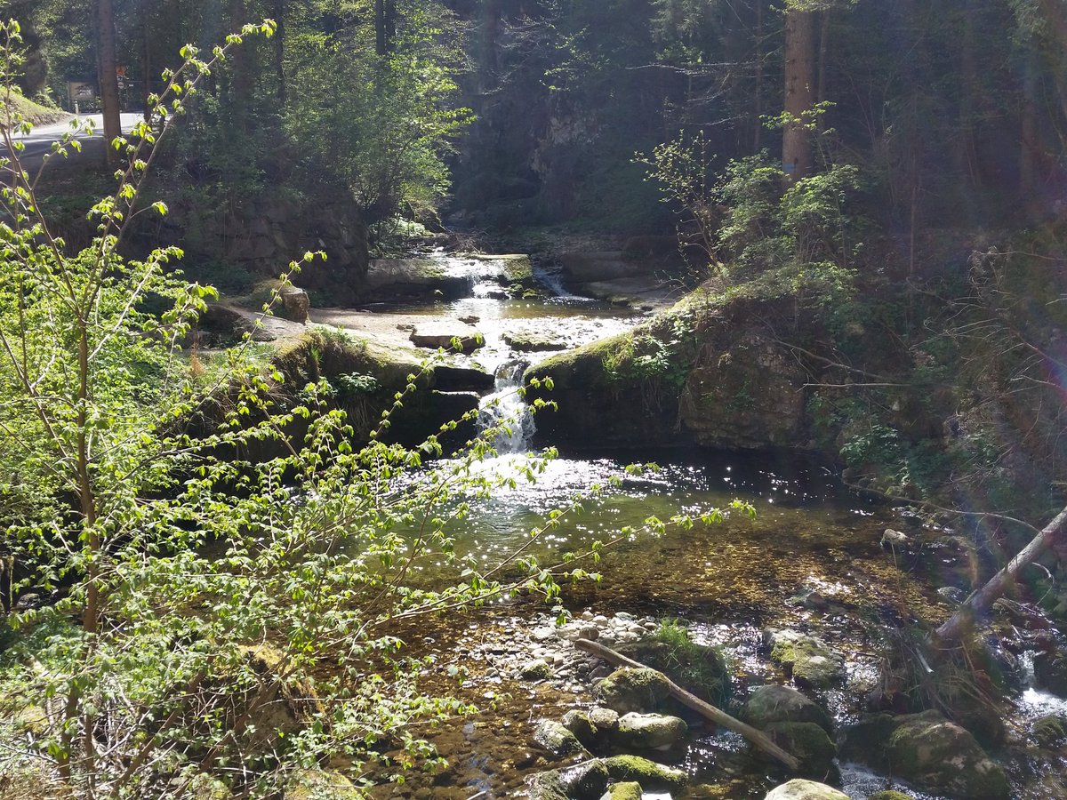 Azzurra Forti tweet media